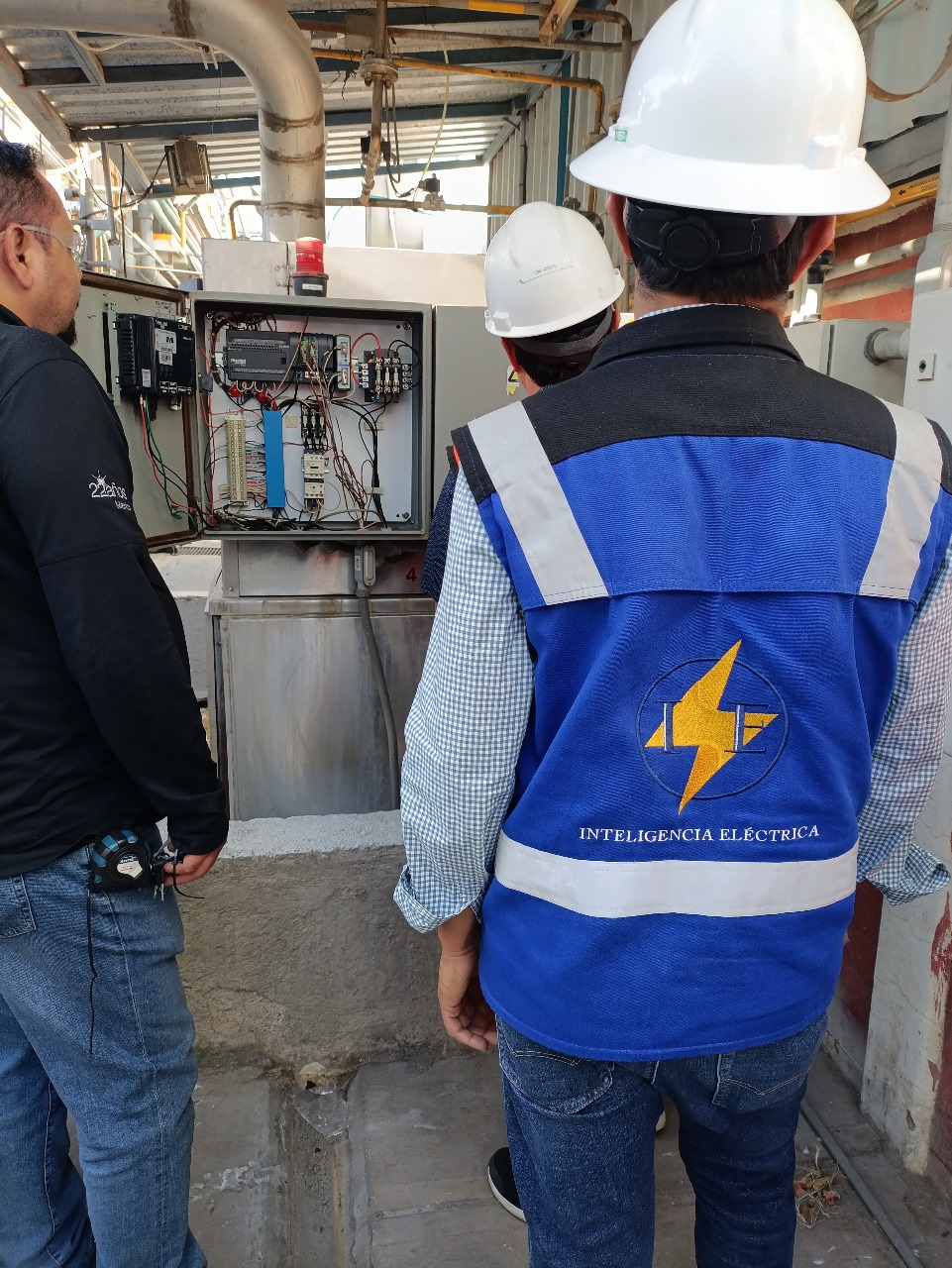 Proyecto Inteligencia Eléctrica